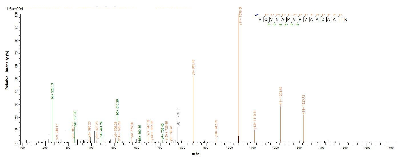Virus fljB protein