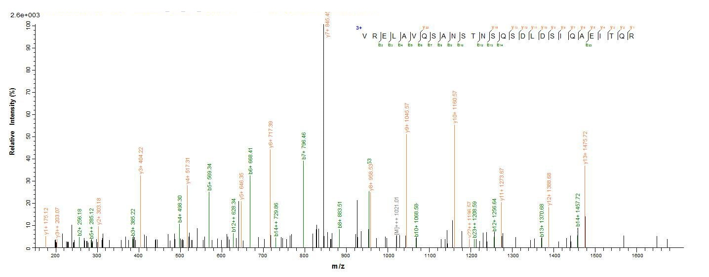 Virus fljB protein