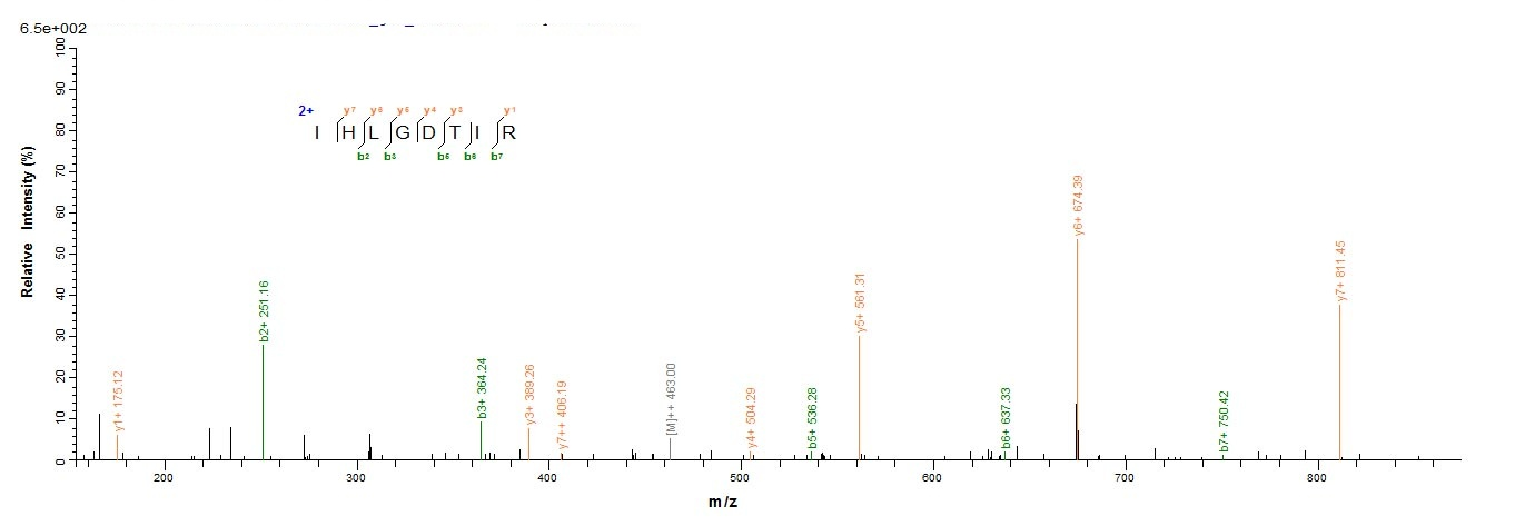 Parasite LDBPK_361420 protein
