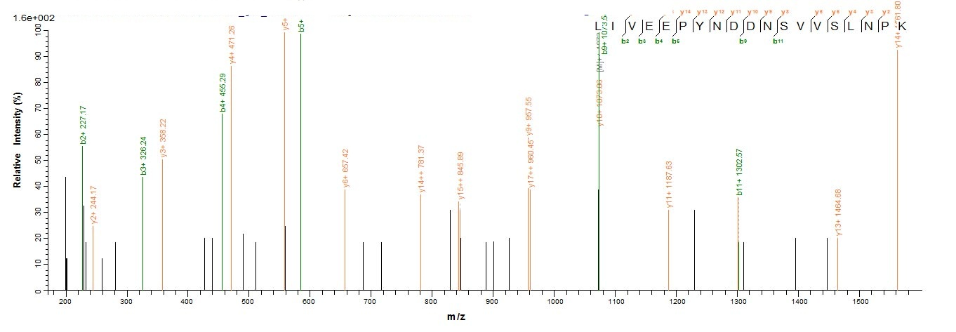 Parasite LDBPK_361420 protein