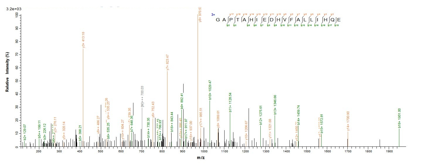 Fungi Lentinula edodes Serine protease inhibitor protein