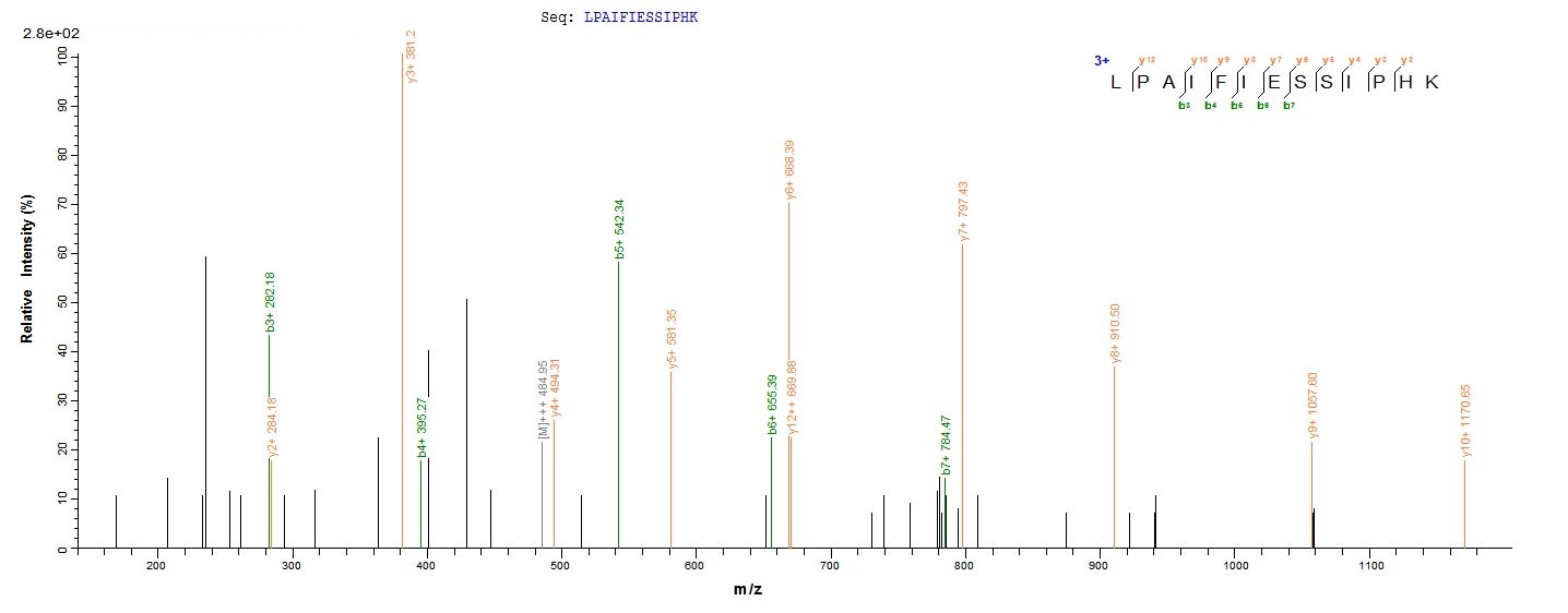 Bacteria troA protein