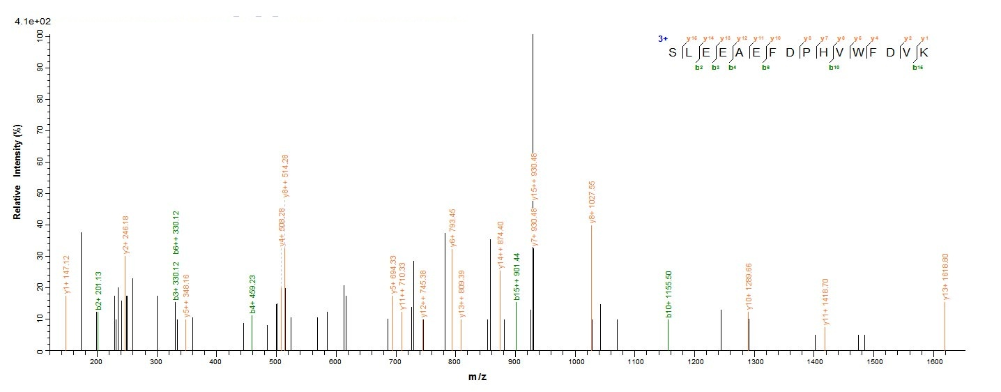 Bacteria troA protein