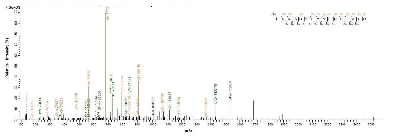 Bacteria pscF protein