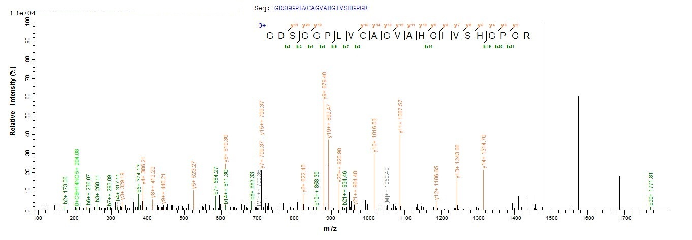 Rat Mcpt4 protein