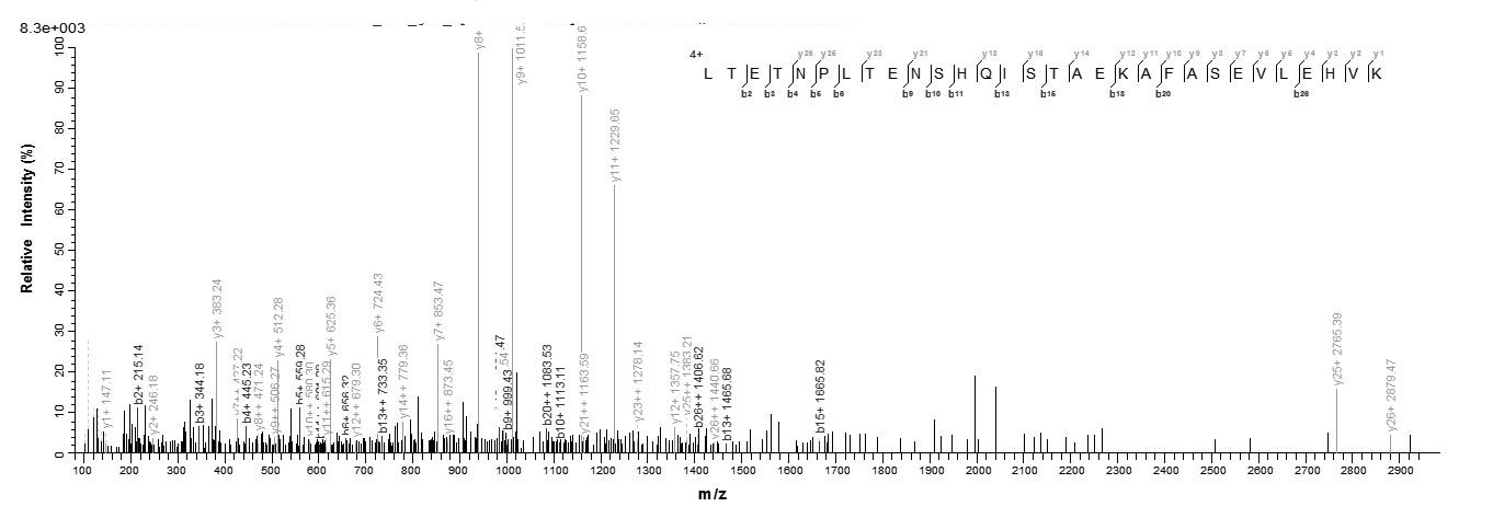Bacteria yscM protein