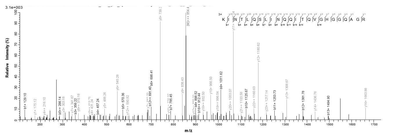 Bacteria yscM protein