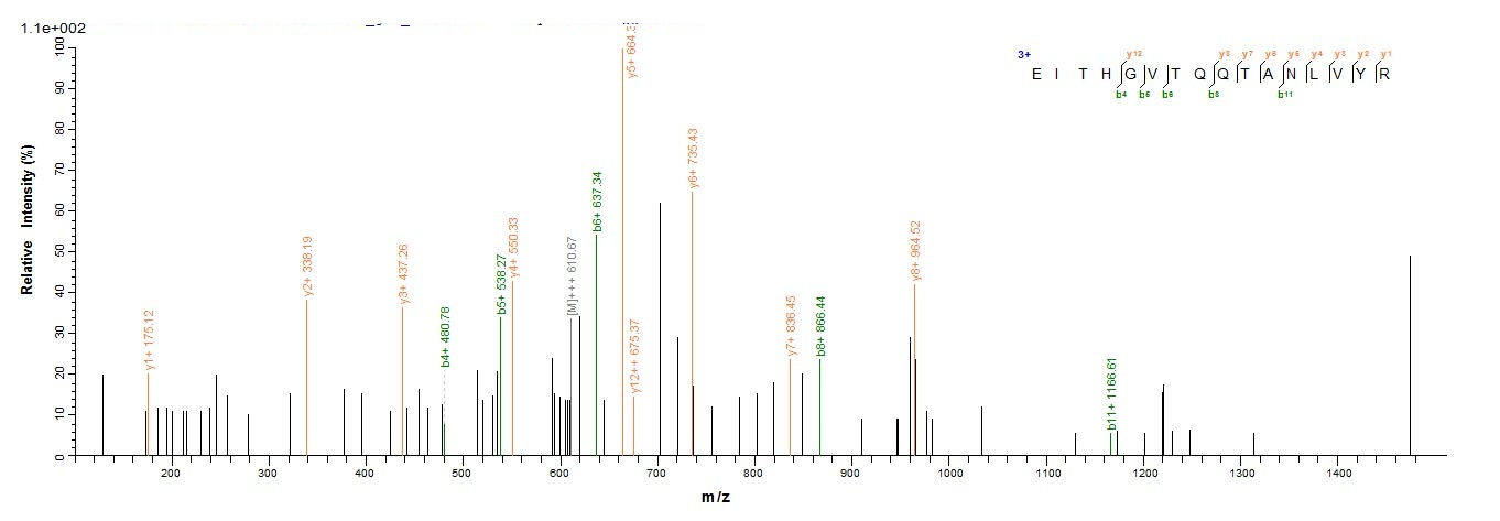Bacteria sepA protein