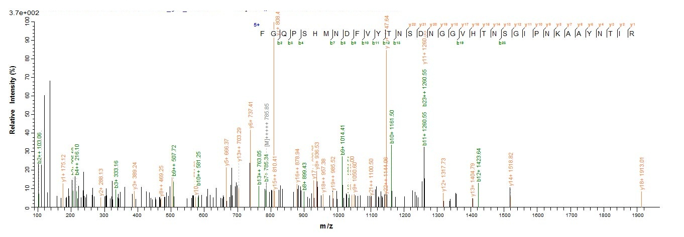 Bacteria sepA protein