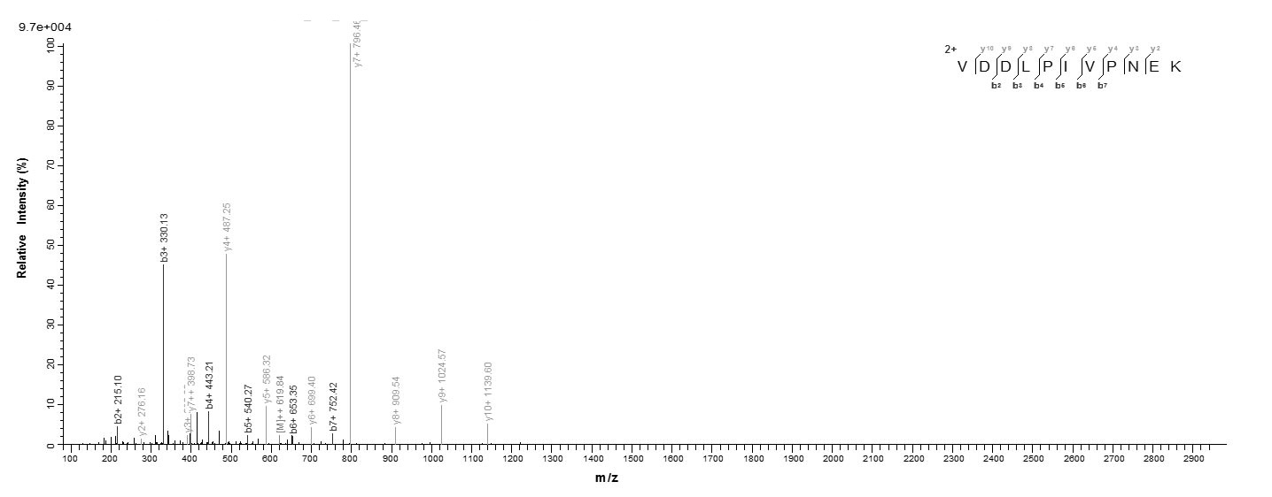 Bacteria botB protein