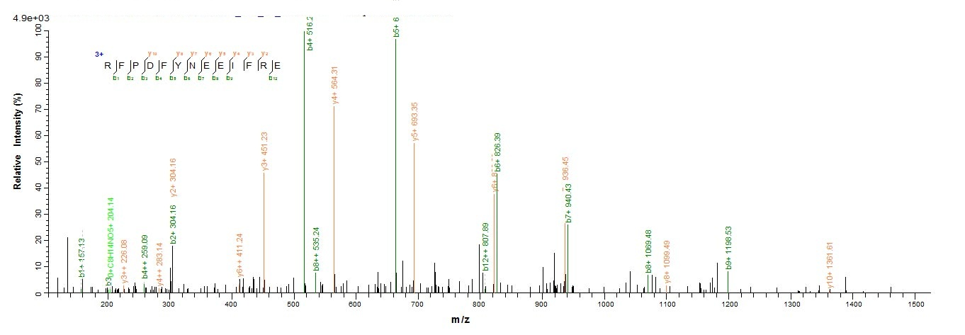 E. coli traY protein