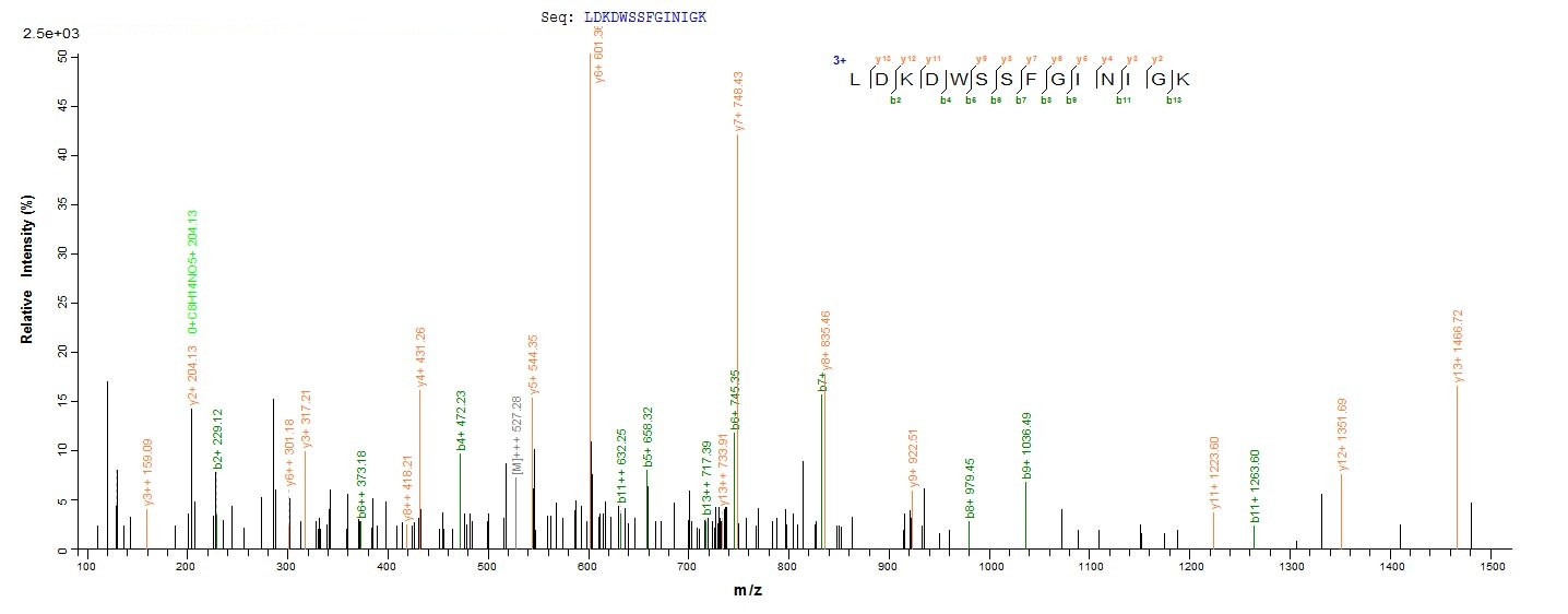 Virus Vesicular stomatitis Indiana virus Nucleoprotein(N) protein