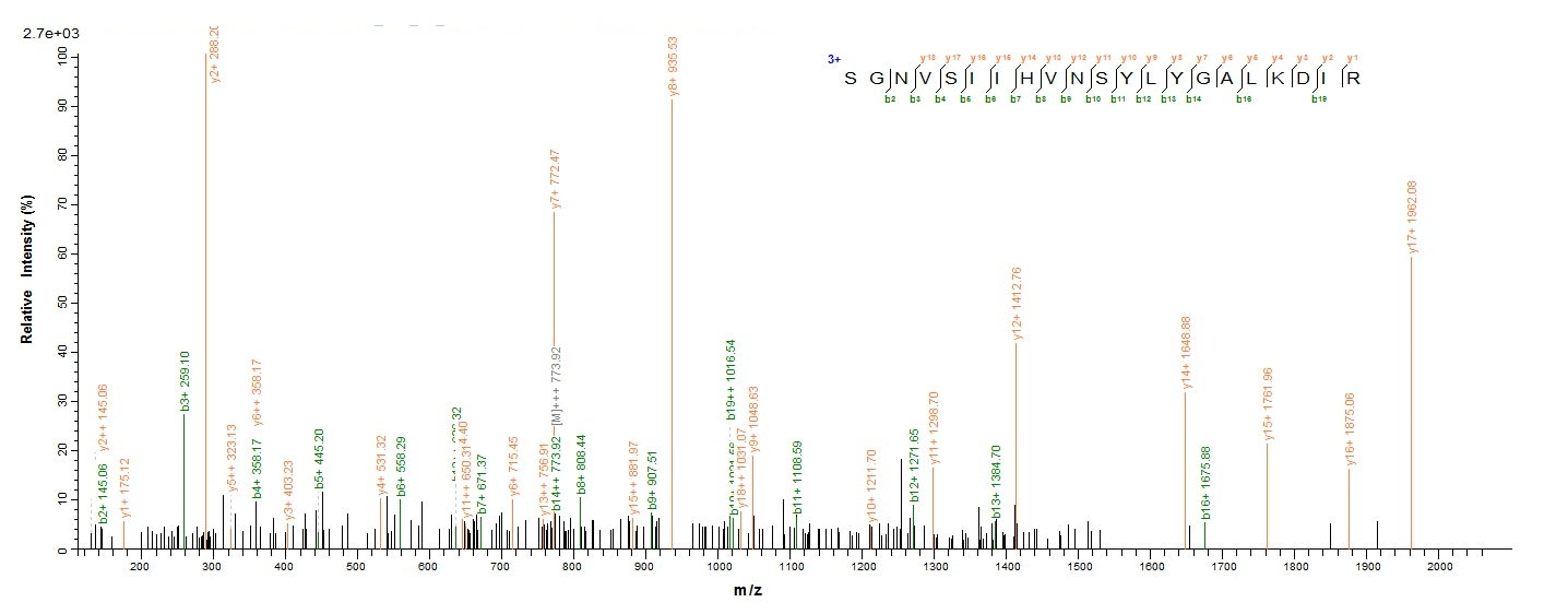Virus Vesicular stomatitis Indiana virus Nucleoprotein(N) protein