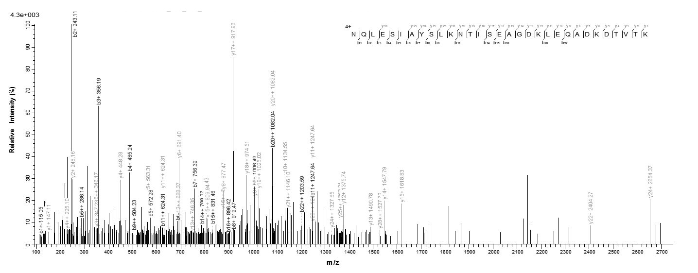 Virus SSA1 protein