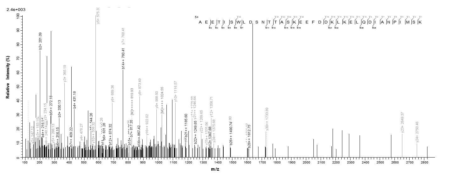 Virus SSA1 protein