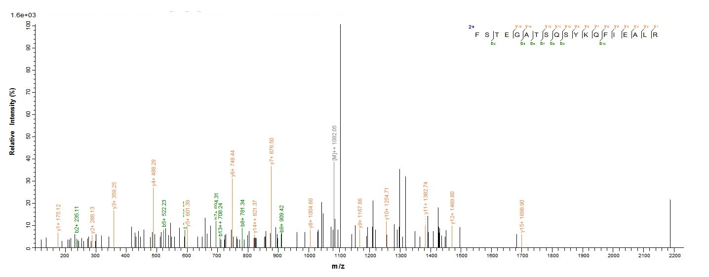 Plant Abrus precatorius Abrin-a protein