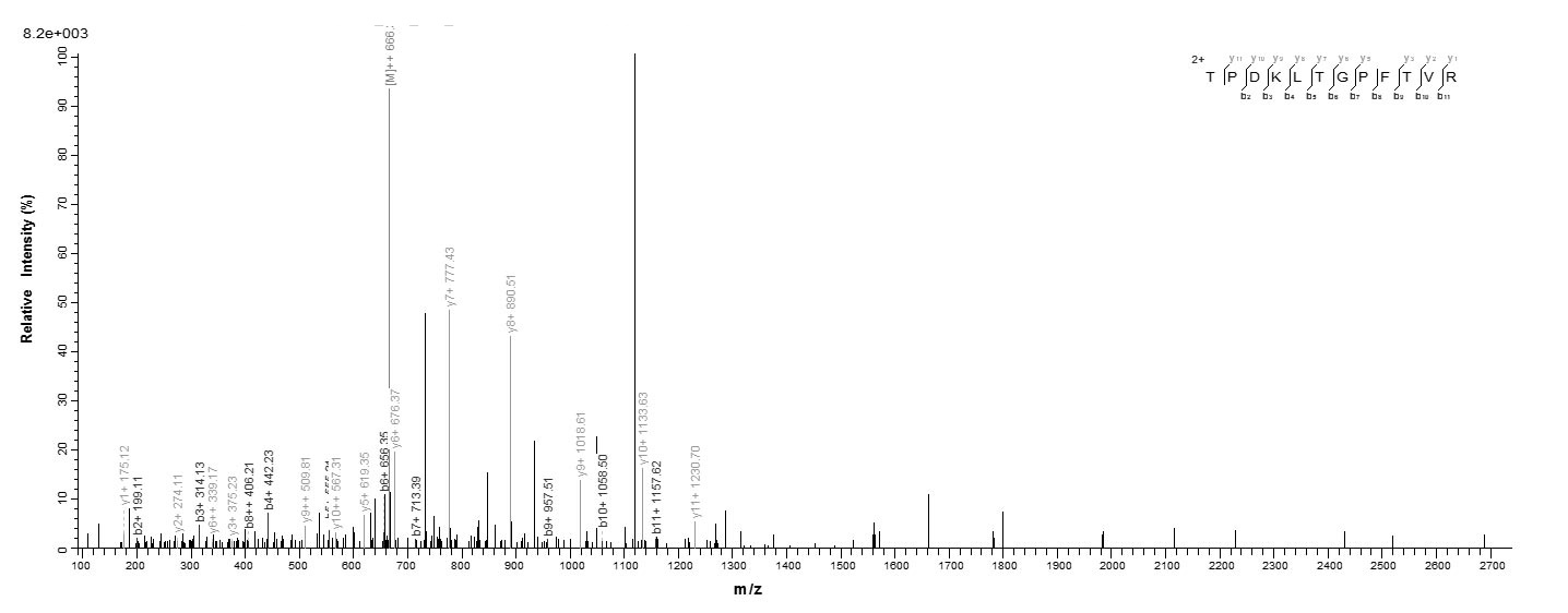 Plant Lolium perenne Pollen allergen Lol p 1 protein