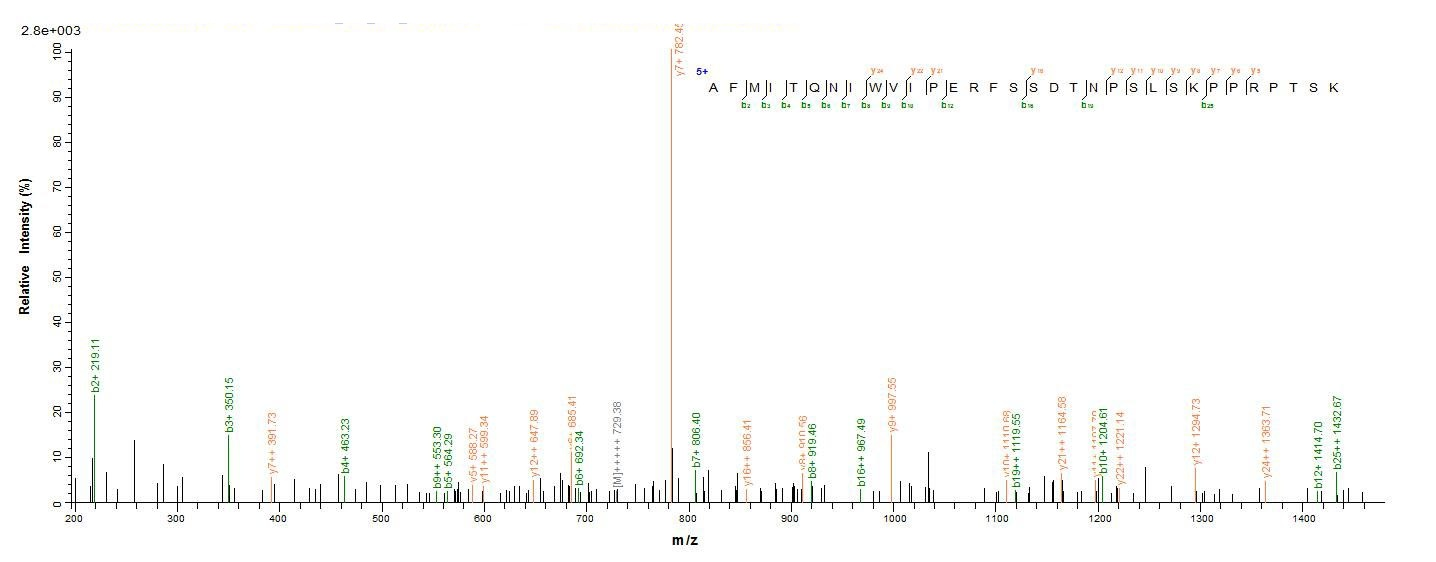 Bacteria botD protein