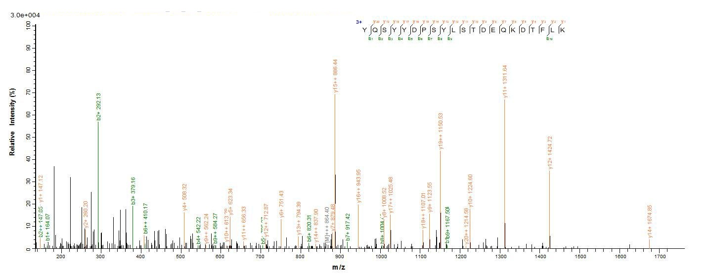 Bacteria botD protein