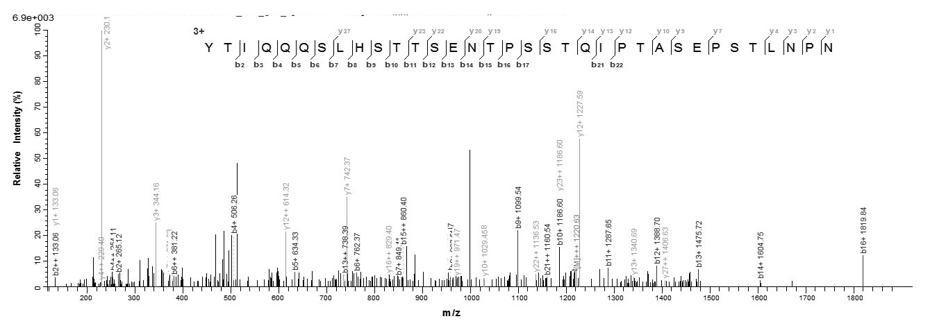 Virus G protein