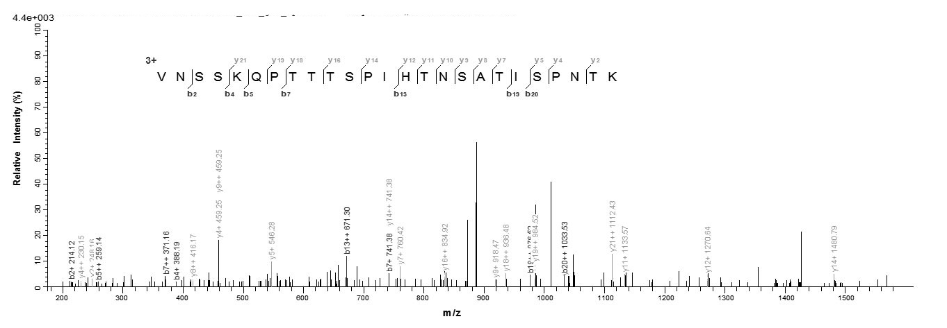 Virus G protein