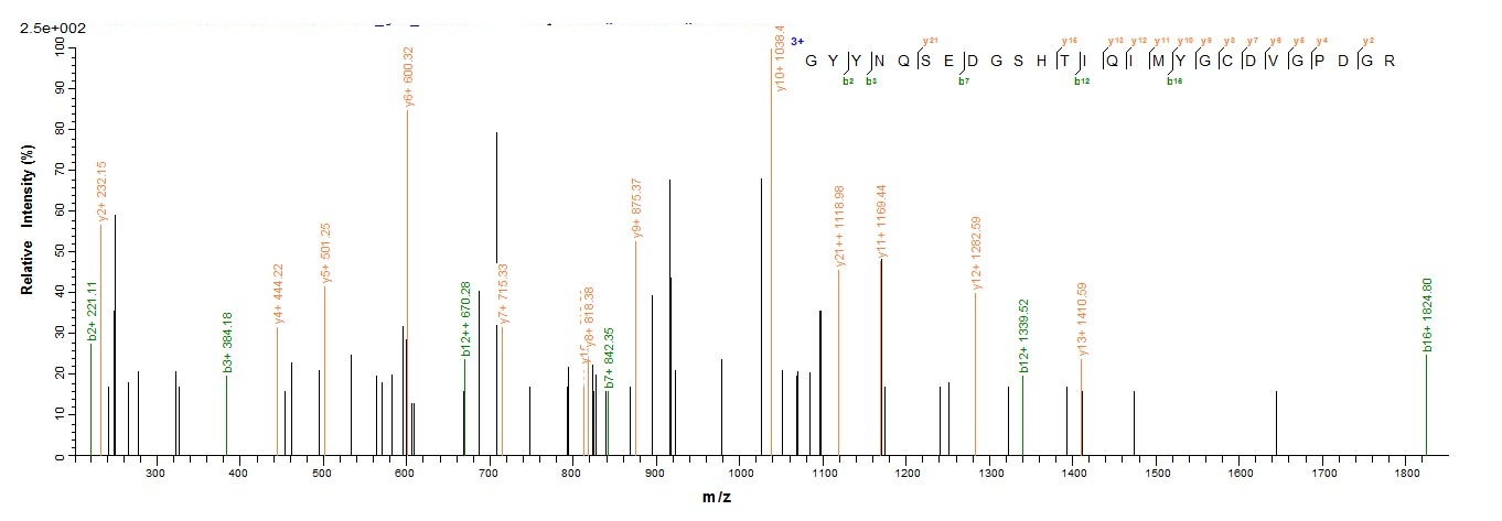 Human HLA-A protein