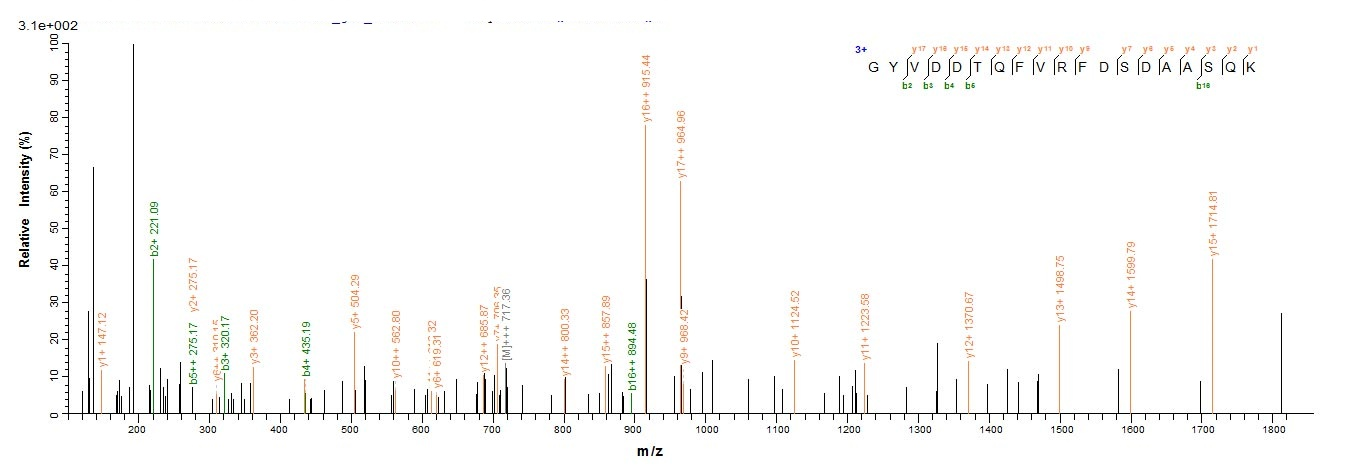 Human HLA-A protein
