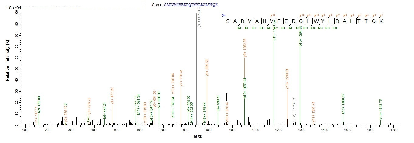 Fungi alp1 protein