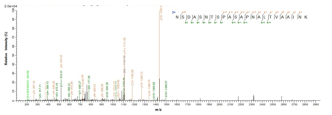 Fungi alp1 protein