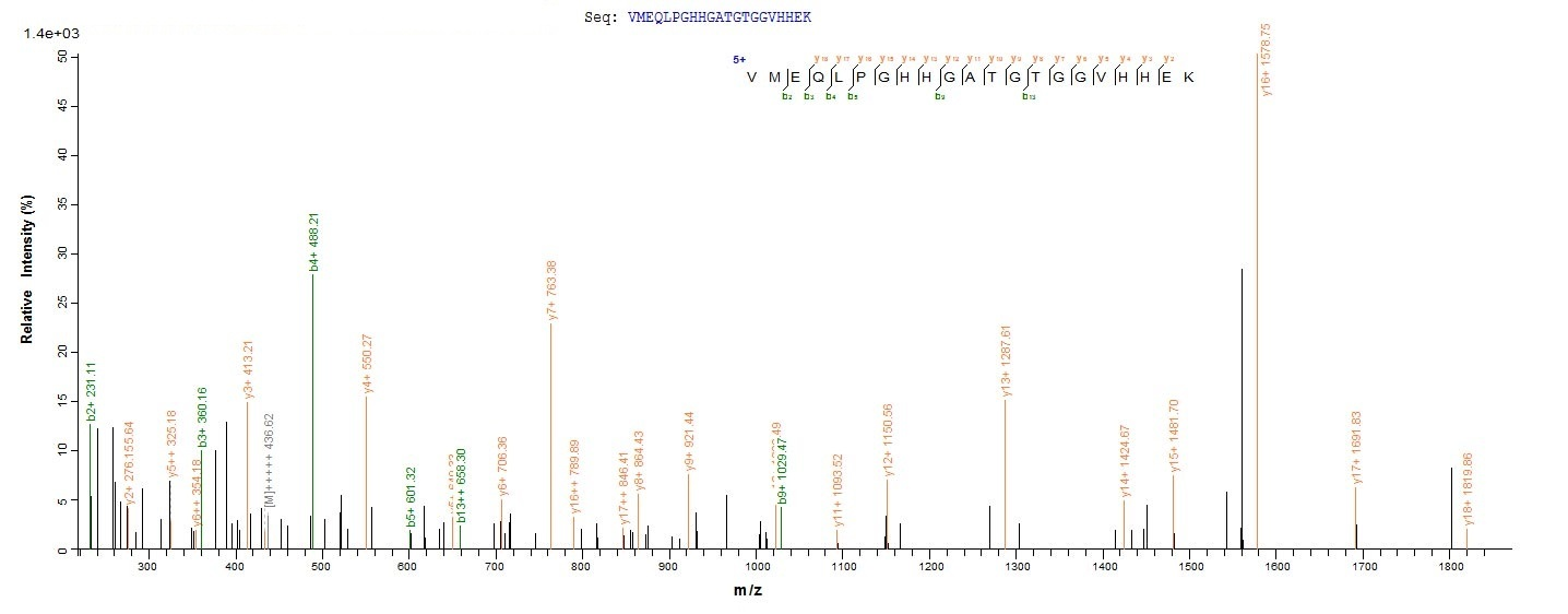 Plant XERO2 protein