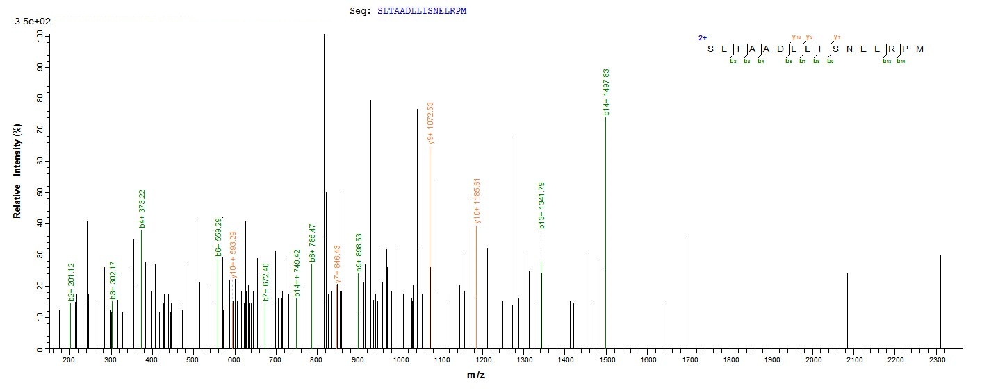 Bacteria ctfB protein
