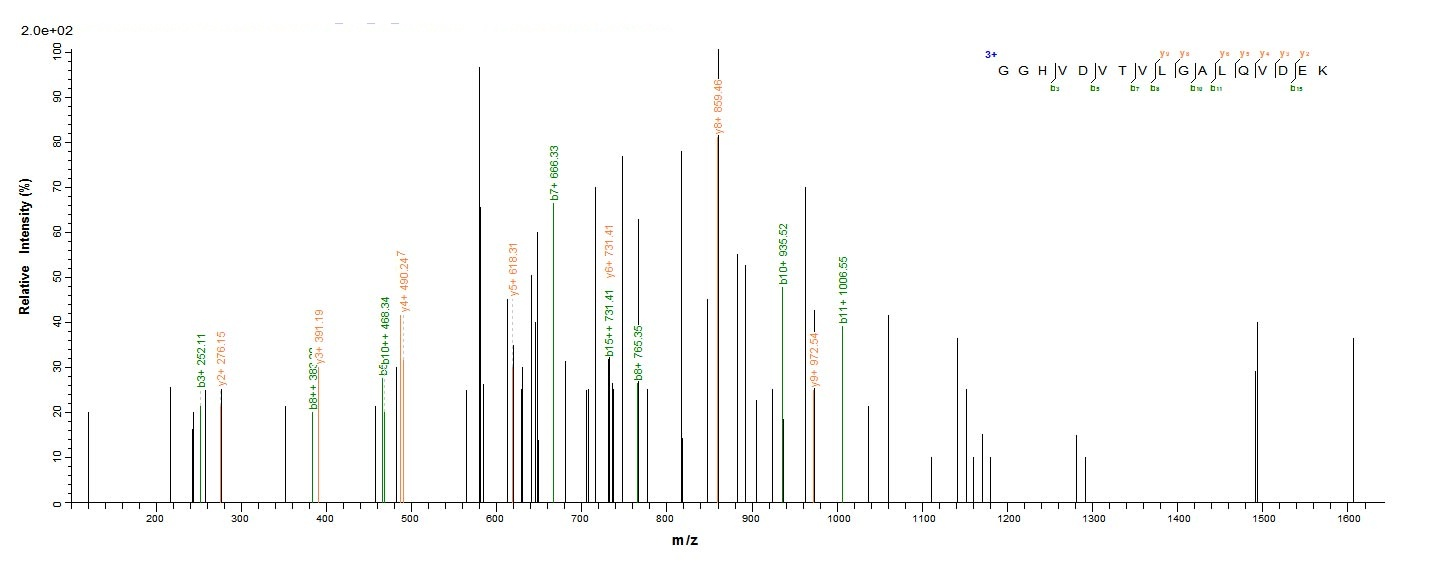 Bacteria ctfB protein