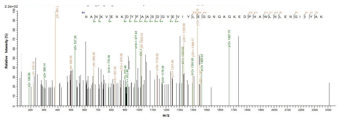 Bacteria psaA protein