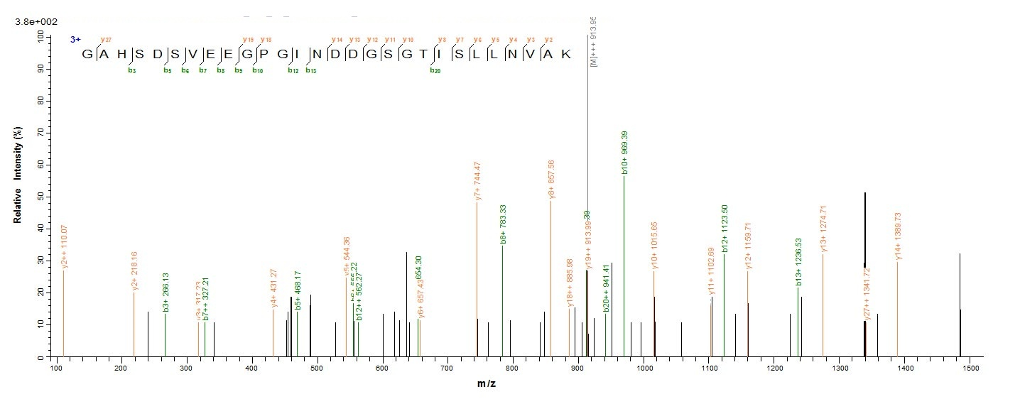 Virus APE3 protein