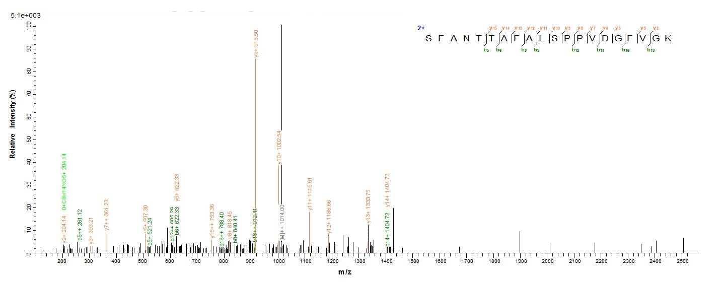 Virus APE3 protein