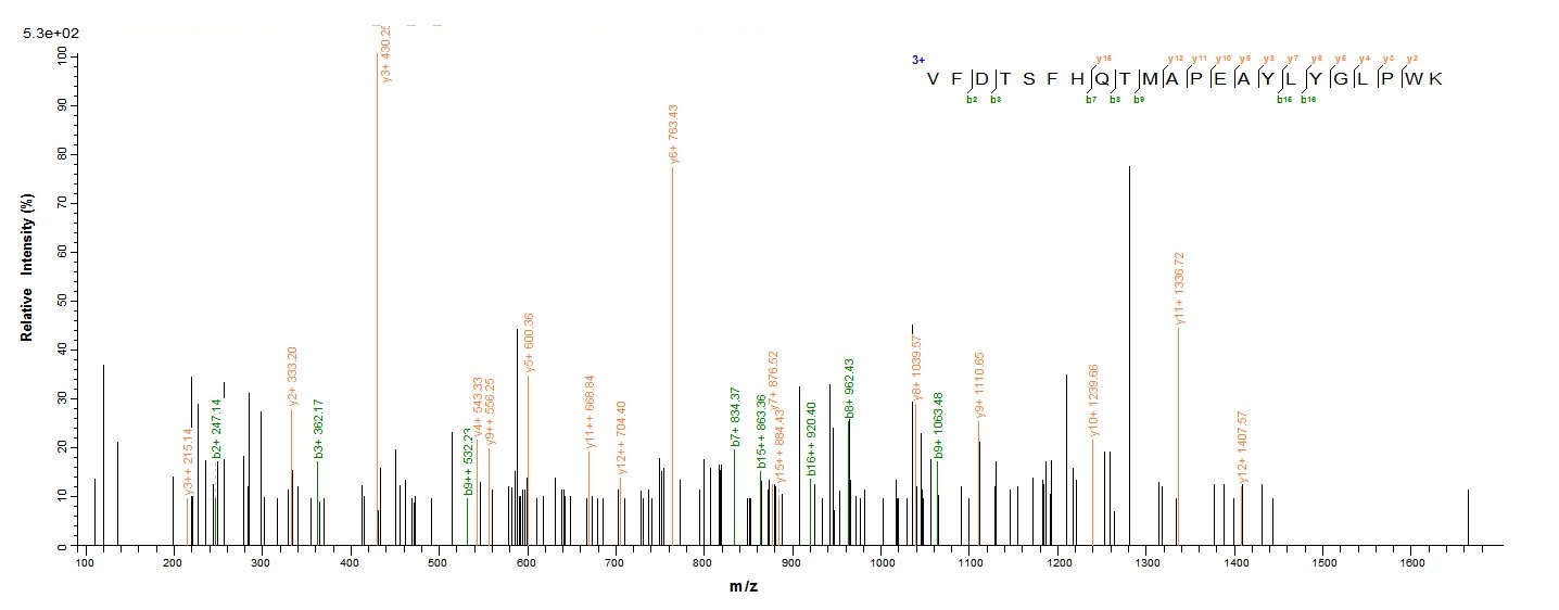 E. coli tdcD protein