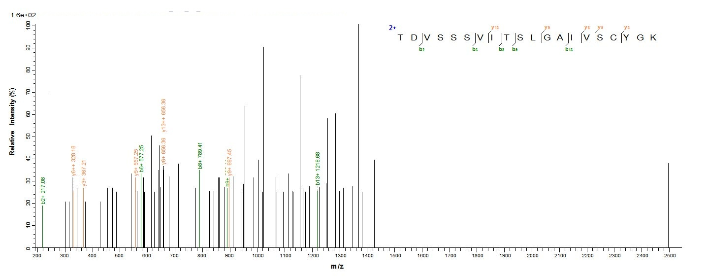 Virus F protein