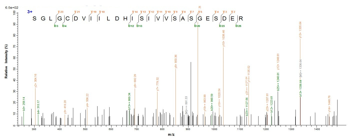 Bacteria Trichosanthes kirilowii Ribosome-inactivating protein alpha-trichosanthin protein