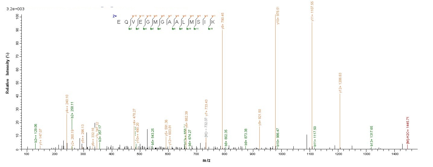 Virus NP protein