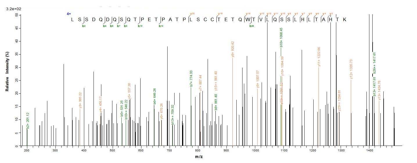 Virus E4 protein