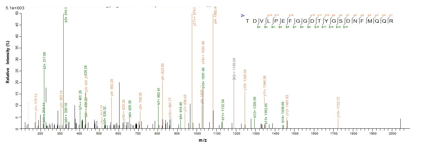 E. coli ompC protein