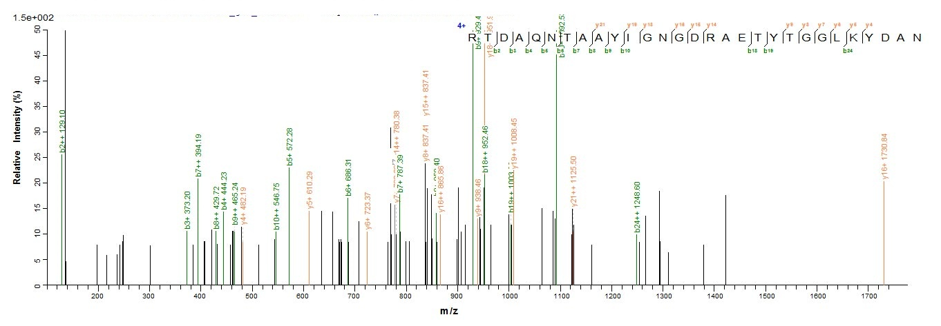 E. coli ompC protein