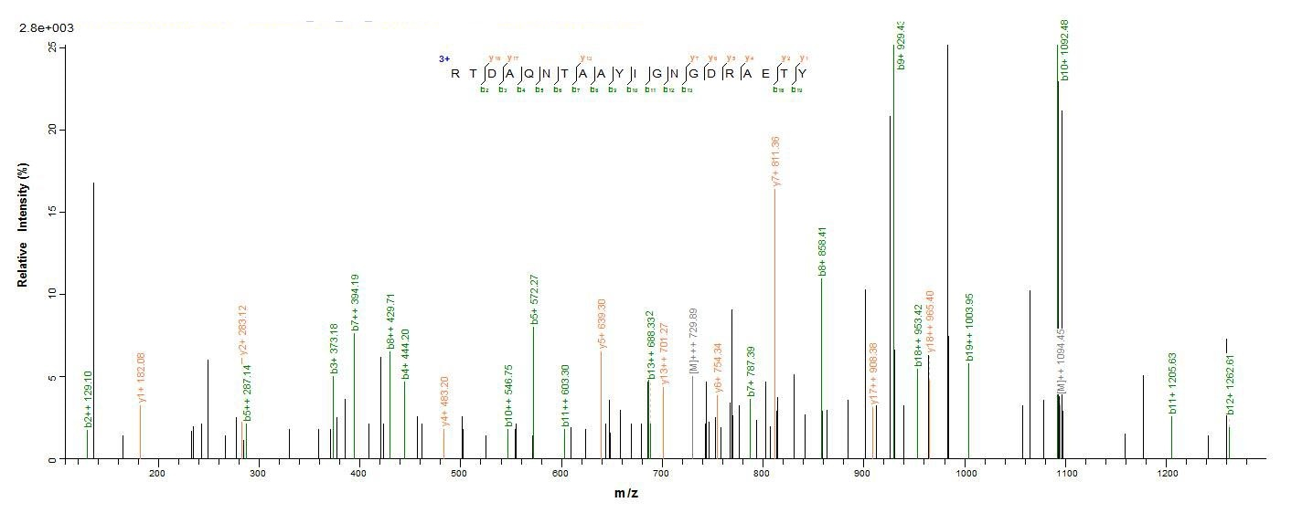 E. coli ompC protein