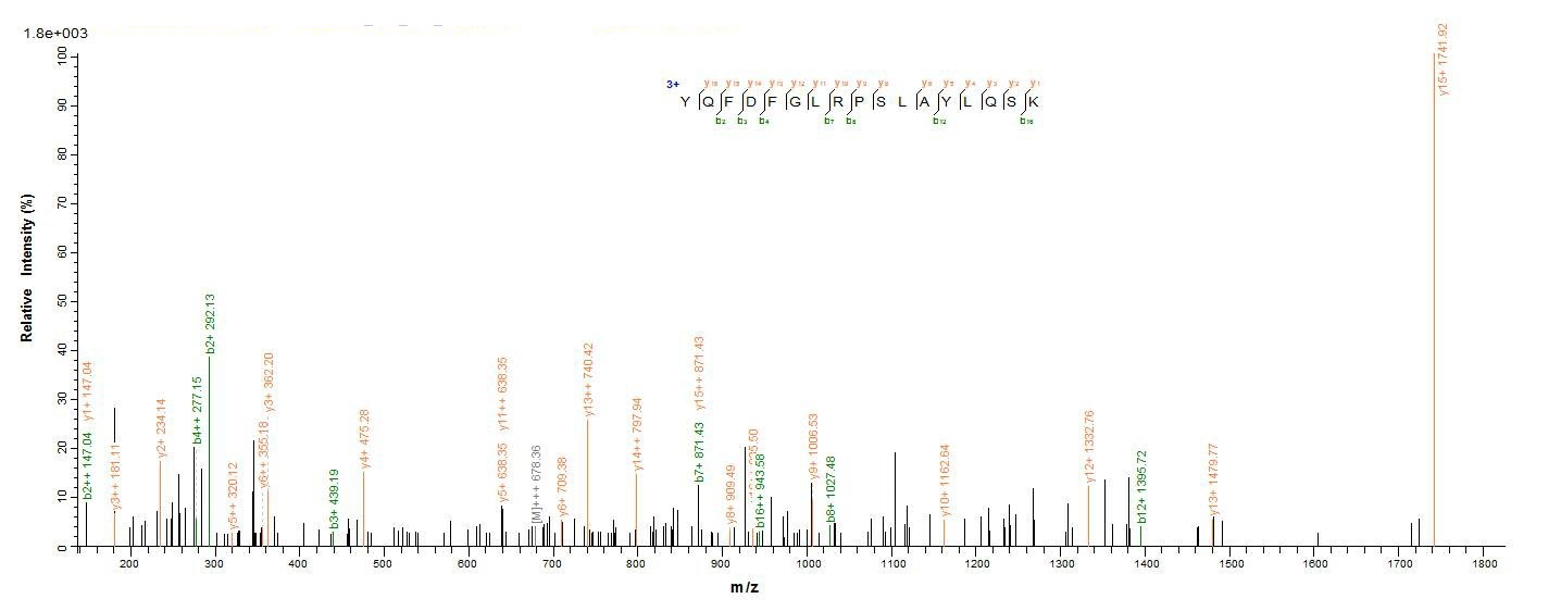 E. coli ompC protein