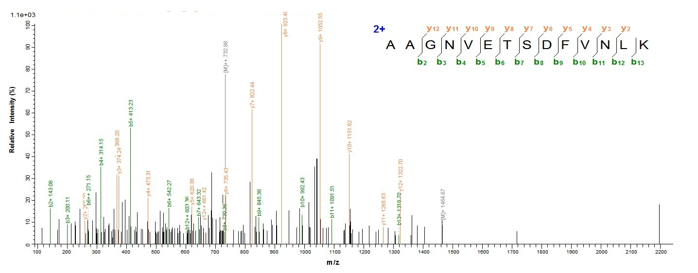 Bacteria VIRE2 protein