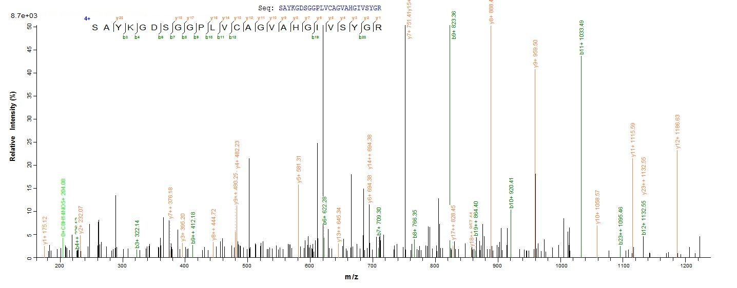Rat Mcpt1 protein
