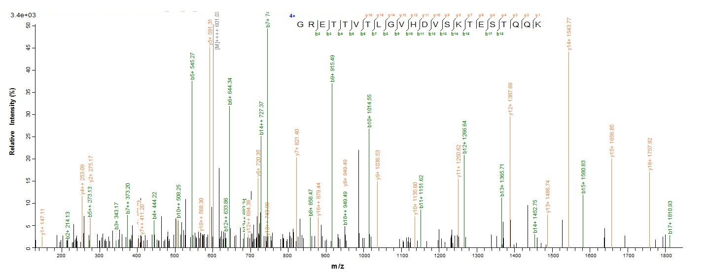 Rat Mcpt1 protein