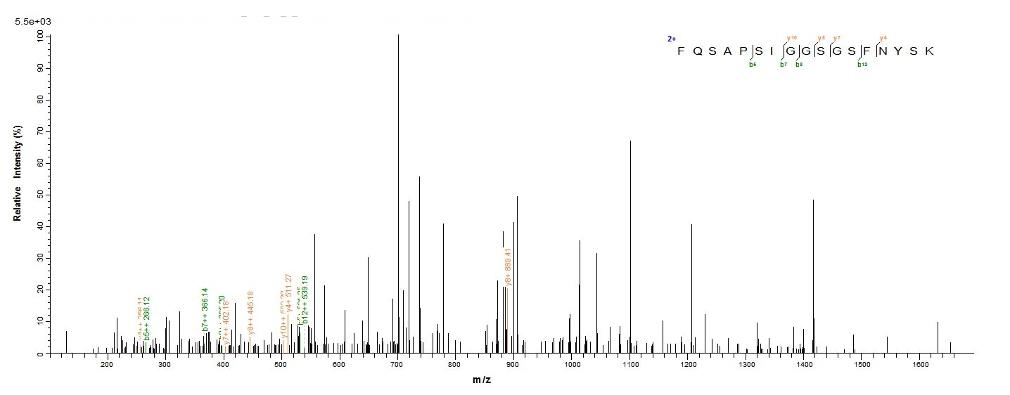 Bacteria hlgA protein