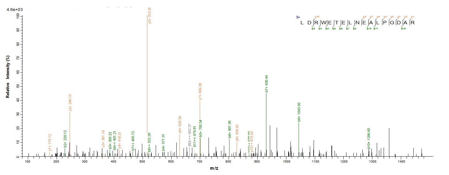 Bacteria bla protein