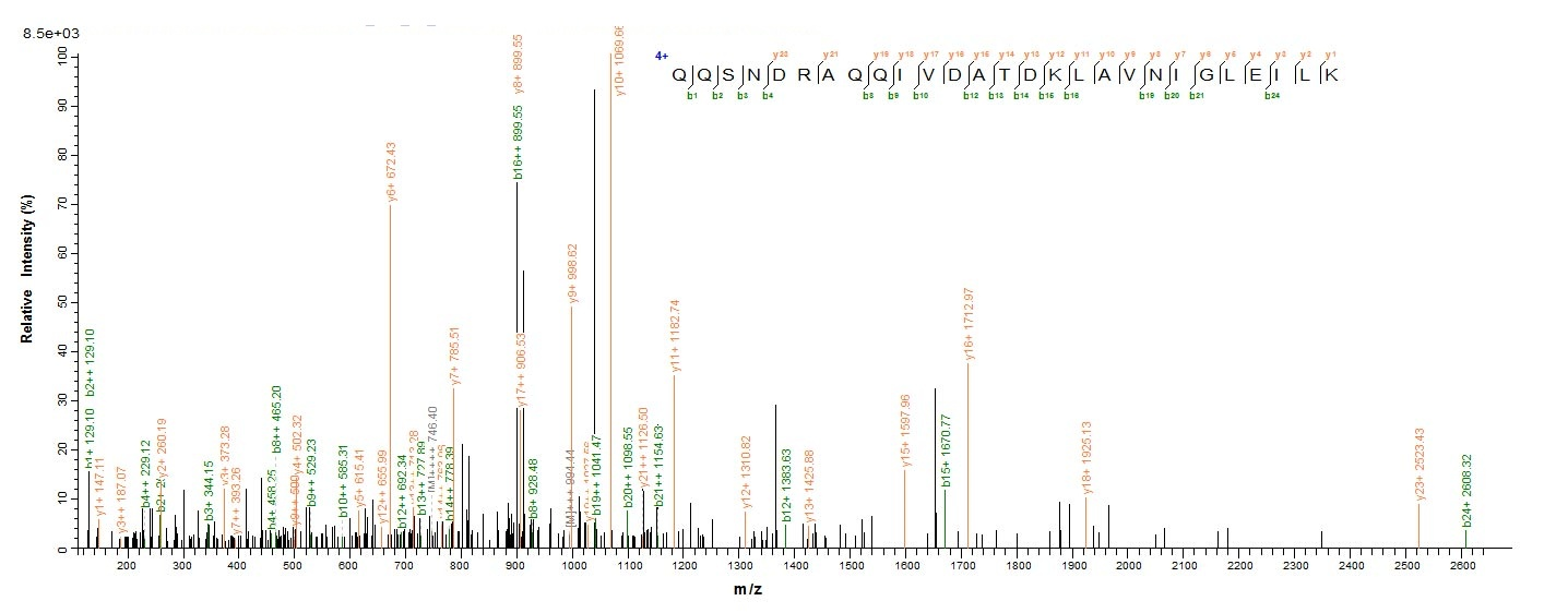 E. coli talB protein